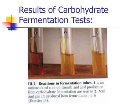 results for carbohydrate tests.